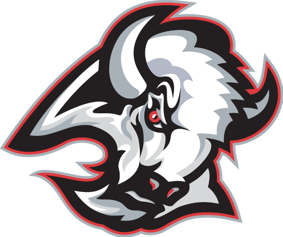 USD 105 Buffalo logo